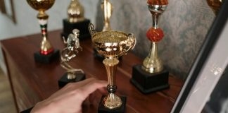Stella Von Savage Earns Four Cammy Award Nominations A close-up of a hand reaching for a shiny trophy on a wooden shelf, symbolizing success.